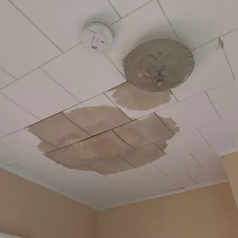 Ceiling Water Damage Repair in Panora, IA