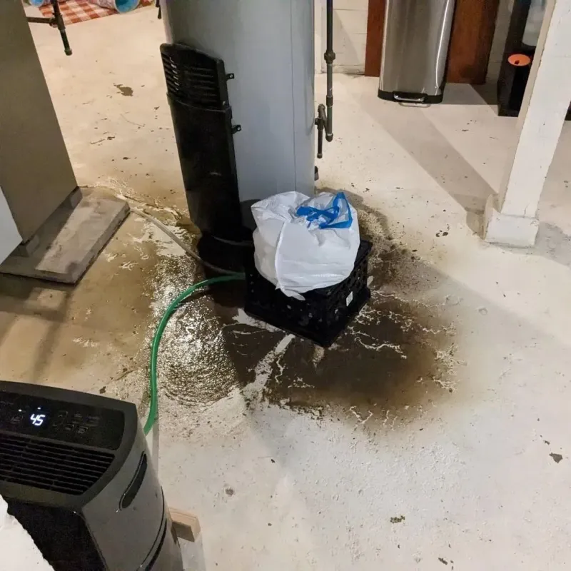 Sewage Backup Cleanup Service in Panora, IA